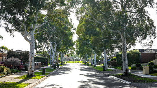 A tree-lined street in South Morang.
