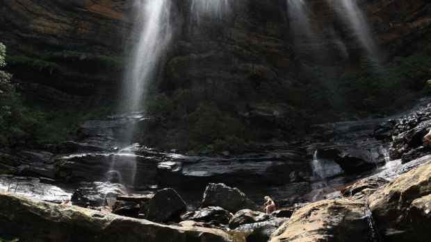 Nine bushwalkers rescued in the Blue Mountains