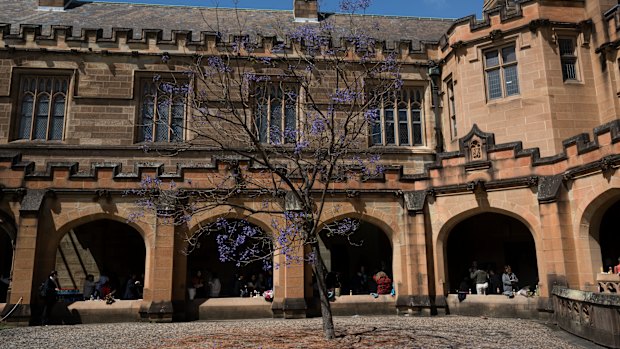 Jewish students at Sydney University had to contend with student activists who entered lecture halls chanting antisemetic slogans, the report said.