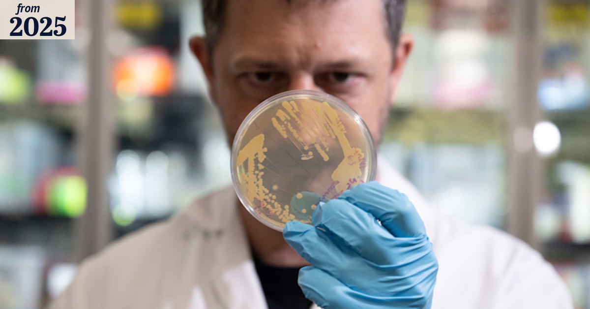Australian scientists’ synthetic life breakthrough: synthetic ...