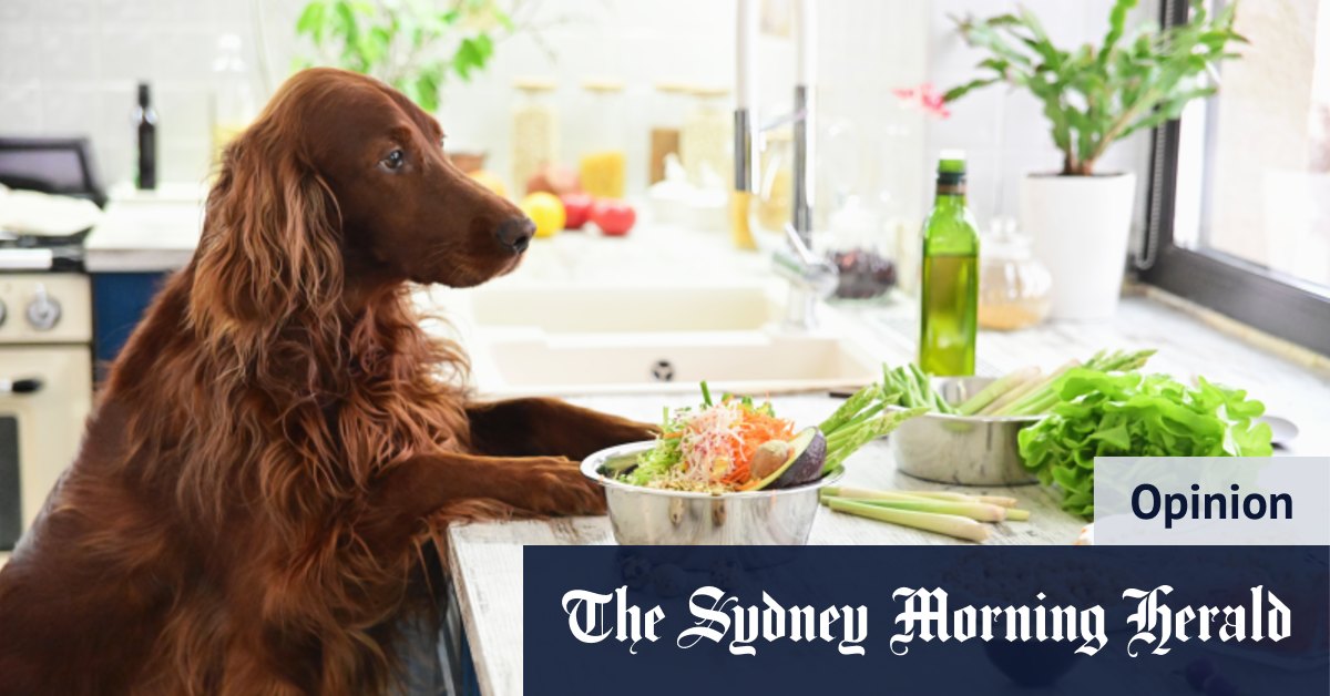 A vegan diet is good for your dog, and the planet