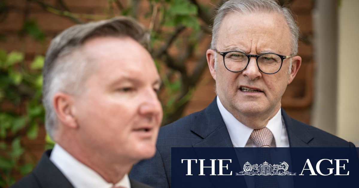 Climate scientists target Albanese as Turkey holds out on COP talks