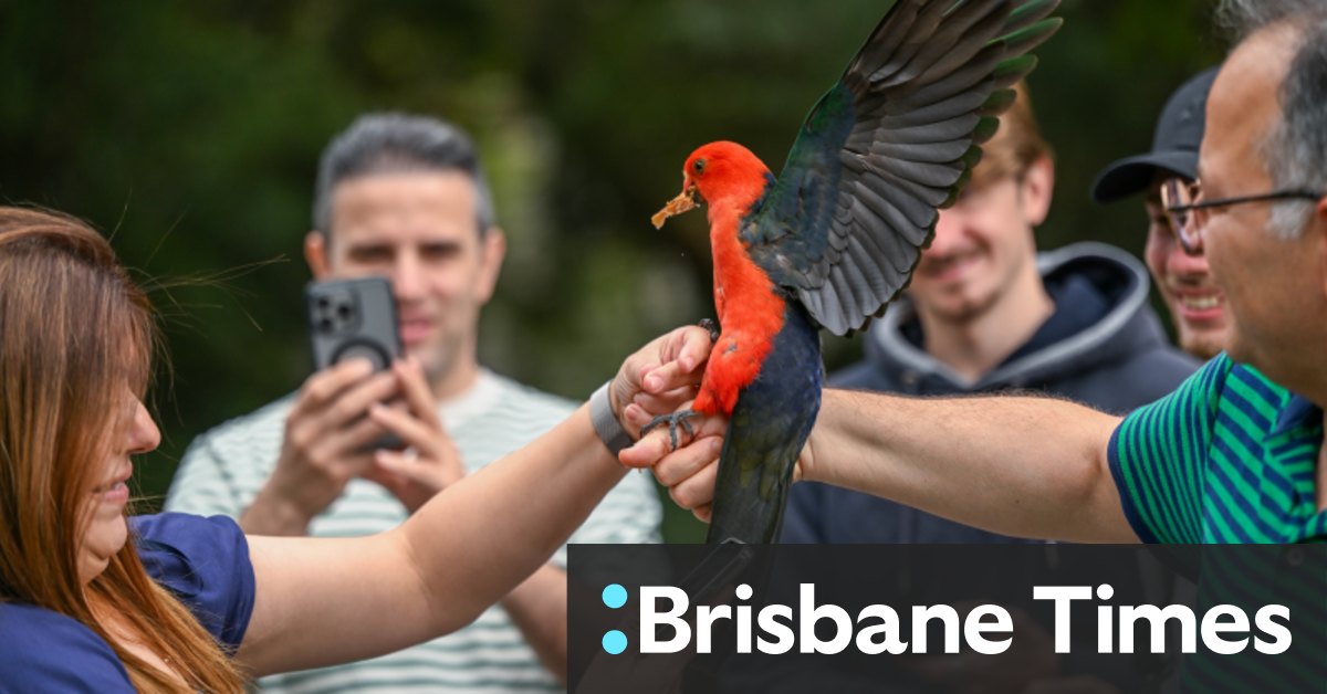 A Great Ocean Road hotspot pushes back against tourist hordes