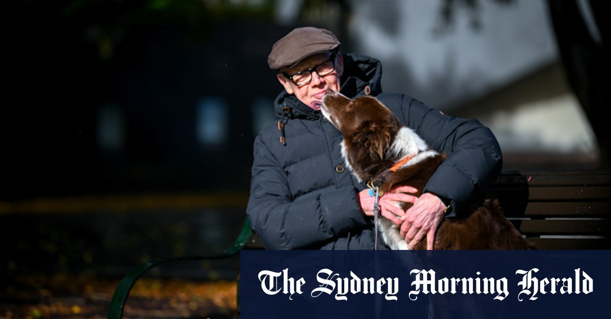 City of Melbourne proposes eight new off-leash dog parks - Vimarsana News