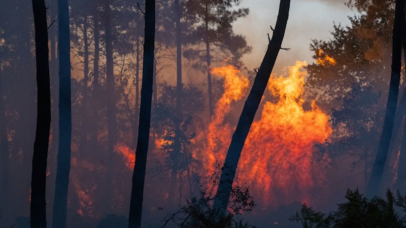 Tens of thousands forced to flee French holiday spot as fires spread across Europe