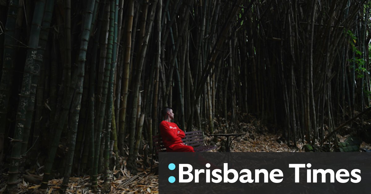 'Designed to heal': The Sydney garden that may be key to our mental health - Vimarsana News