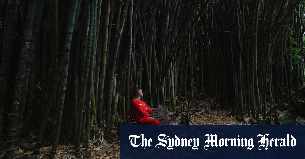 'Designed to heal': The Sydney garden that may be key to our mental health - Vimarsana News