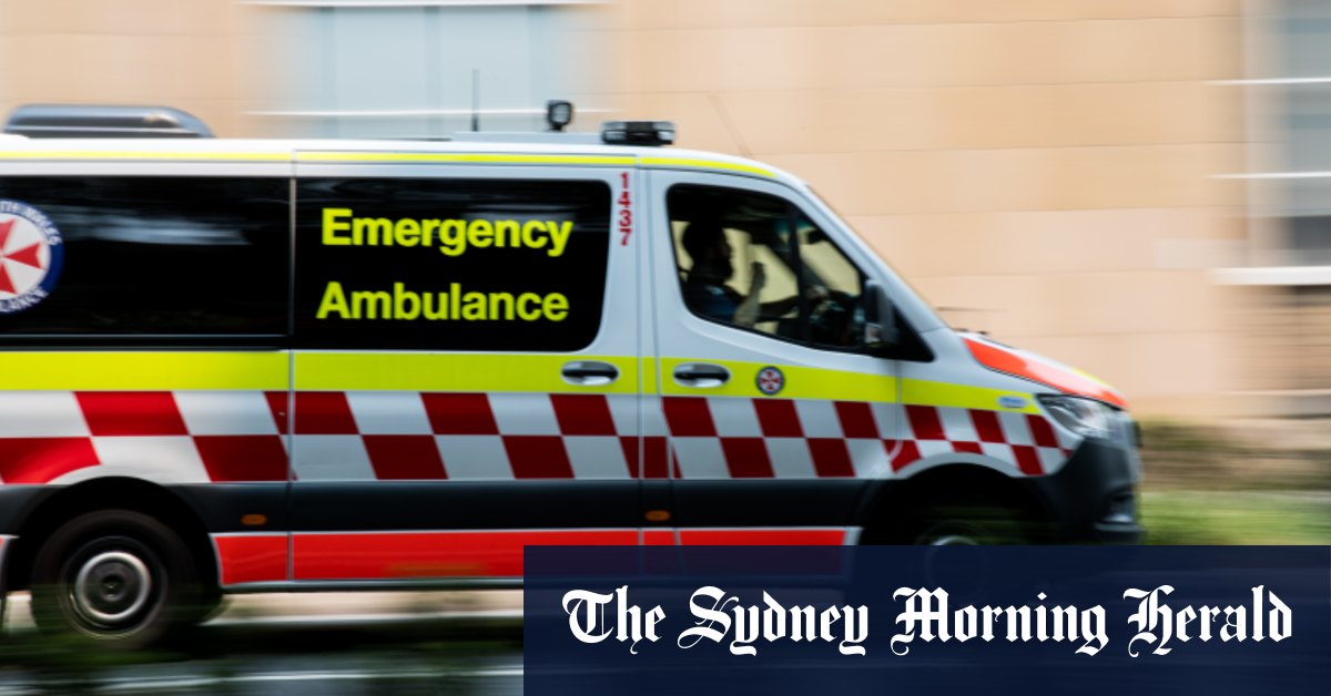 Dover Heights stabbing: Woman fighting for life after stabbing in Sydney's east - Vimarsana News
