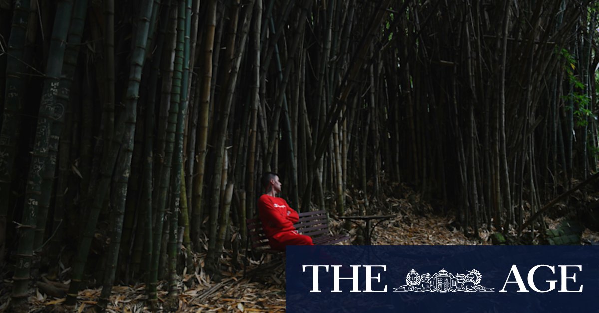'Designed to heal': The Sydney garden that may be key to our mental health - Vimarsana News