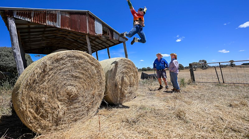 The Age photos of the week, November 29, 2025