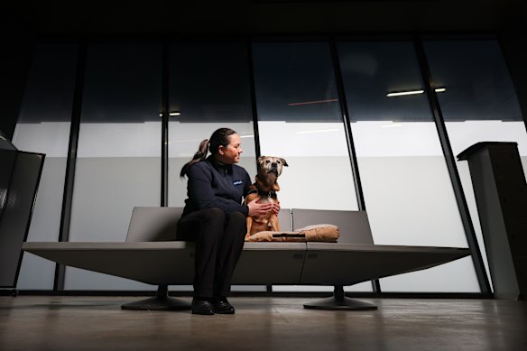 Dr Lauren Roberts of the RSPCA (pictured with traumatised but recovering dog, Daisy) is among animal and family violence advocates working to create more services for women who need to flee violence with pets, but are reluctant to leave until their pet is also safe.