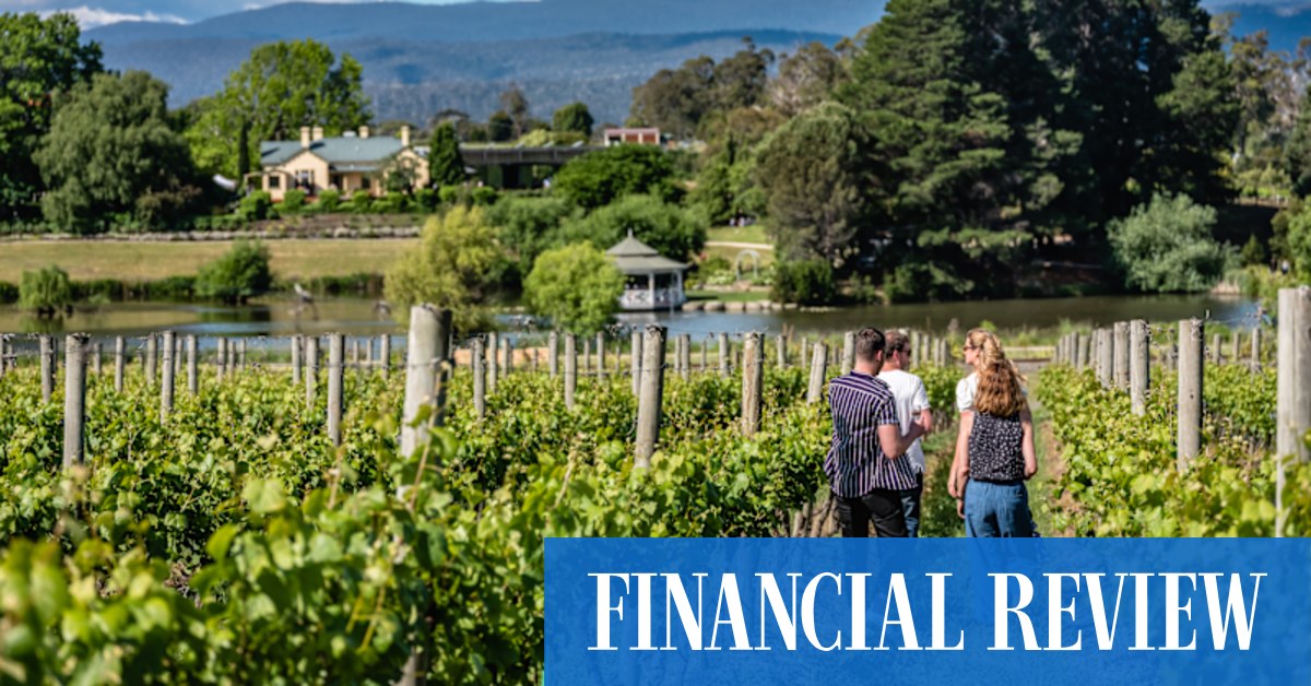 Endeavour Group buys Brownwood Vineyard in Tasmania as premium grapes in demand - Vimarsana News