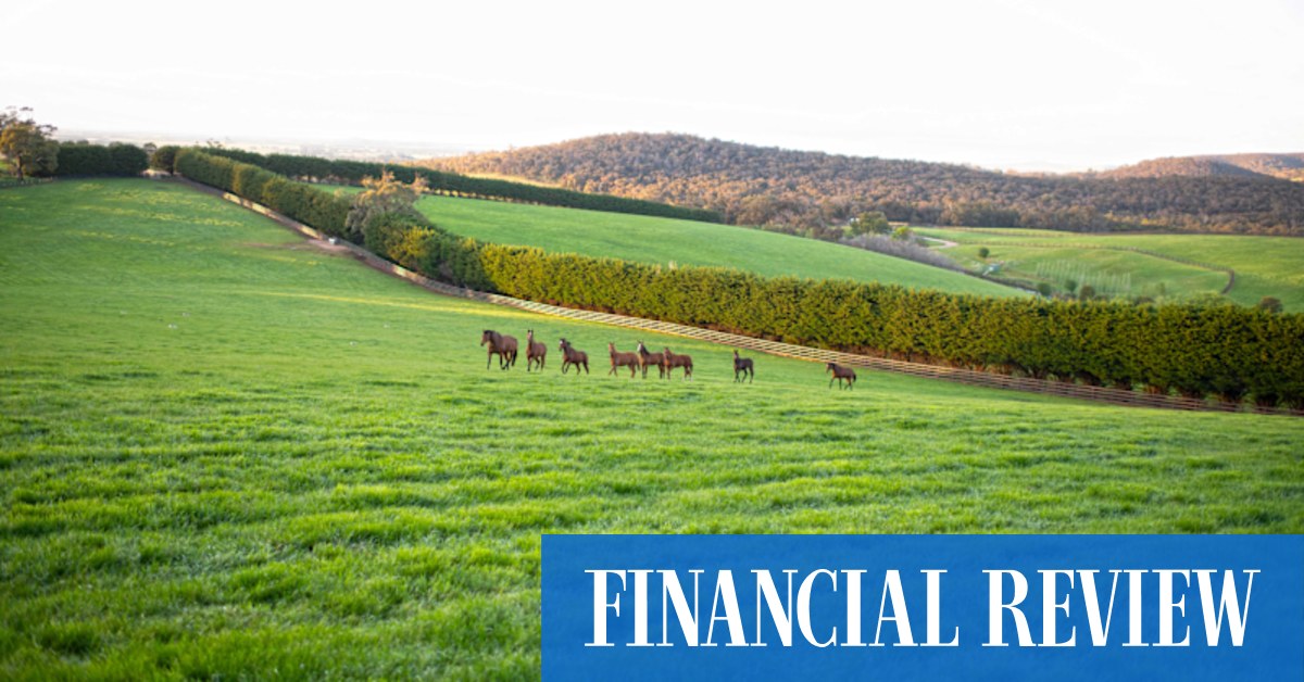 Cotton On co-founder Ash Hardwick hoping for $20m for Macedon Ranges horse stud - Vimarsana News