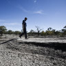 Murray-Darling water flows worsen despite $8.5 billion cash splash, analysis finds