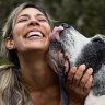 Is it safe for your dog to lick your face?