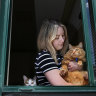 Merri-bek wants cats indoors, but only if owners are feline like it