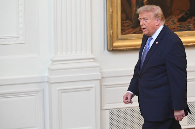 Donald Trump, Çin'i 2020 seçimlerini çalmaya çalışmakla suçladı.