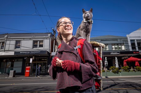 Adventure cat: Sonia Hank taking cat Kepler Copernicus for an outing in South Yarra.