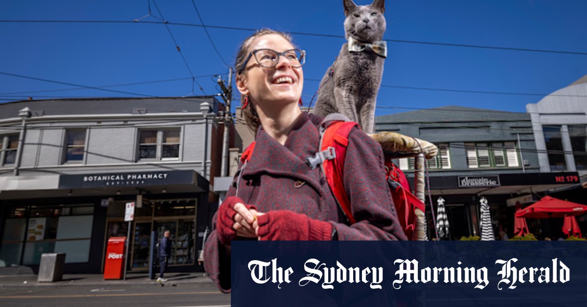 Melbourne cats given the freedom to go out at night – on one condition