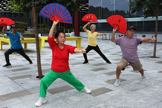 Bankstown residents gather most days to practise Chinese Tai Chi led by 90-year-old master Wang at Paul Keating park.