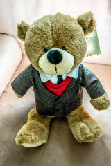 myer teddy