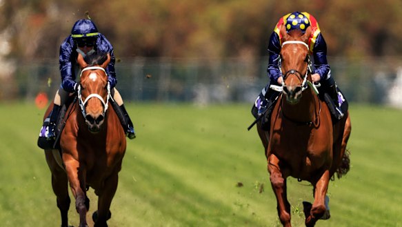 Nature Strip (right) and Home Affairs compete in a jumpout at Rosehill before The Everest.