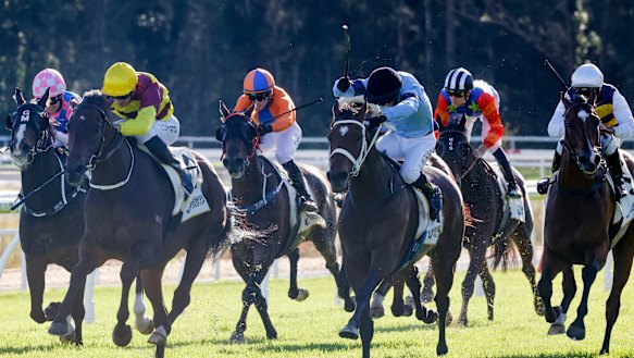 Gosford races Thursday Guineas and Belle of the Turf tips and full preview