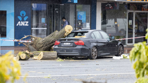 Storm damage in Melbourne on Wednesday morning.