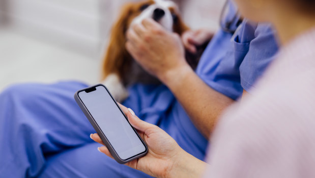 An Osborne Park vet has been suspended after a prescription error leads to a dog’s death.