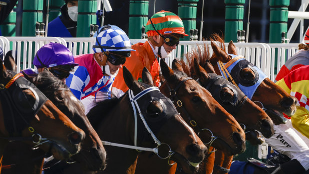 Racing NSW has put its COVID protocols into action isolating a Randwick stable