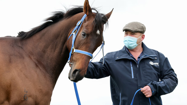 Incentivise will start the shortest priced Melbourne Cup favourite since Phar Lap.