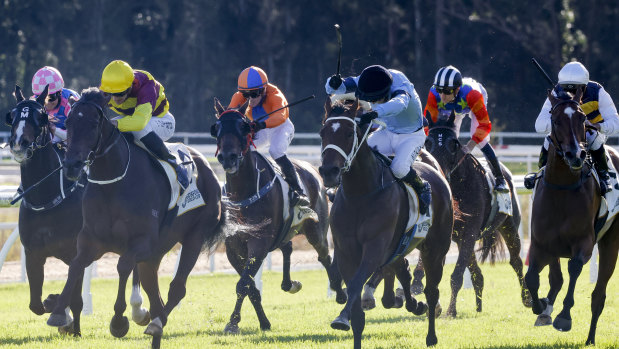 Racing returns to Gosford on Thursday.