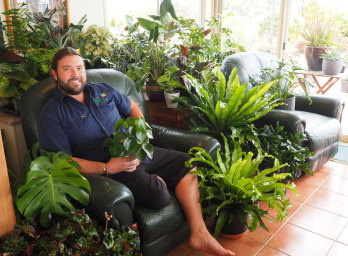 Passionate plantsman Jeremy Critchley grows more than 400 plants for indoors.