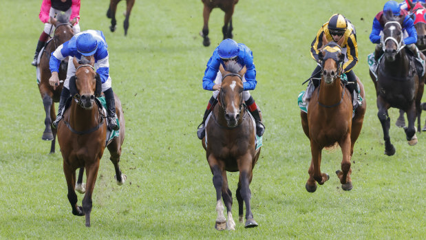 Hugh Bowman steers Golden Mile (centre) to victory in the Callander-Presnell on Champions Day at Randwick last year.