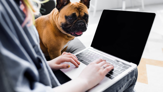 Working from home does have its perks, and it also makes workers more productive.
