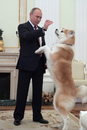 Russian President Vladimir Putin plays with his dog