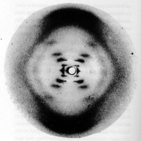 "Photograph 51'', taken by Dr Rosalind Franklin in 1952.
