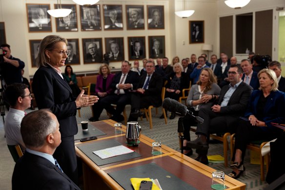 Opposition Leader Sussan Ley addresses colleagues at the Coalition party room meeting on Monday.