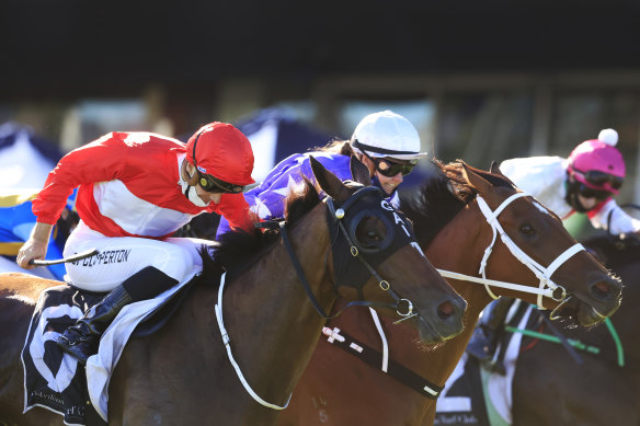 Sacramento (left) got the chocolates over New Arrangement earlier this month but the pair are set to do battle again in the sixth at Randwick on Saturday.