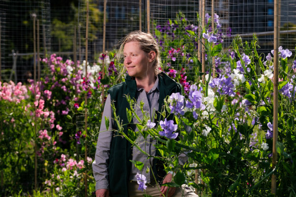 Royal Botanic Garden Sydney’s supervisor of horticulture Kate Burton with budding sweet peas.