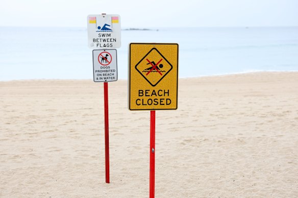 Coogee Beach was closed after the shark bite, but has reopened with drone surveillance.