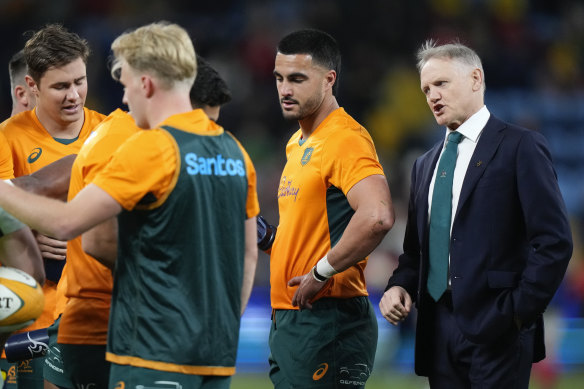 Joe Schmidt talks to his players. 