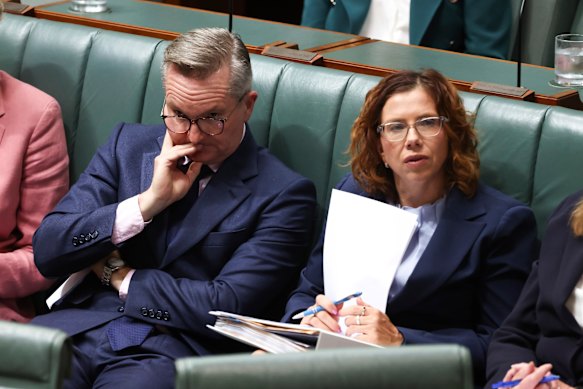 Minister for Climate Change and Energy Chris Bowen and Minister for Employment and Workplace Relations Amanda Rishworth during question time at Parliament House.