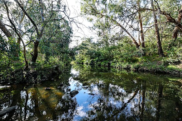 Melbourne Lord Mayor Nick Reece describes Merri Creek as the pride of a community.