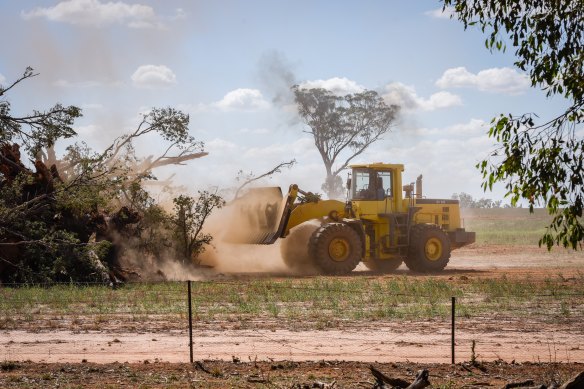 A front-end loader removes trees on a property near Junee in the Riverina.