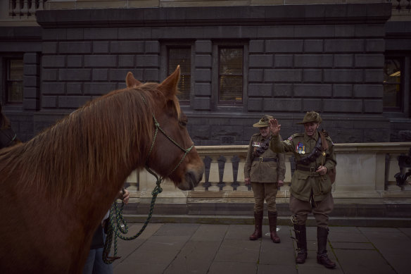 A pro-brumby protest at Parliament House in Melbourne in 2020.