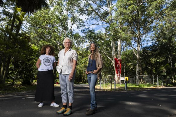 Canopy Keepers members (from left) Dan Ravich, Deb Collins and Chelsey Baker are among those fighting to save the flooded gums in Ruskin Rowe, Avalon.