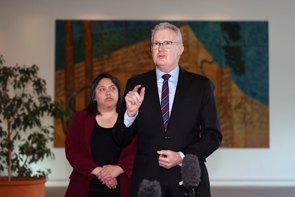 Home Affairs Minister Tony Burke.
