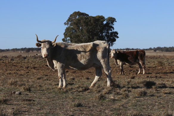 The Murdochs have been at the forefront of opposition to action on  climate change.