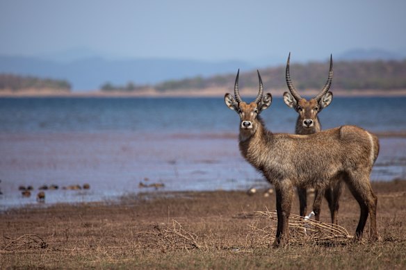 Tourism is growing, community welfare is strengthening and wildlife is abundant around Lake Kariba.